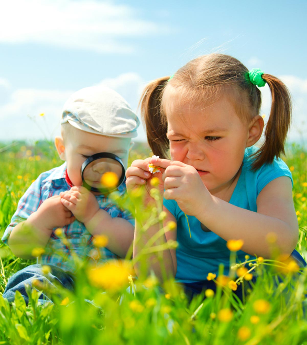 儿童花卉知识:类型，部件和生命周期