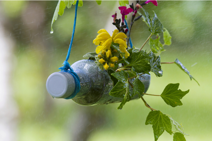 垂直花园，儿童塑料瓶工艺品