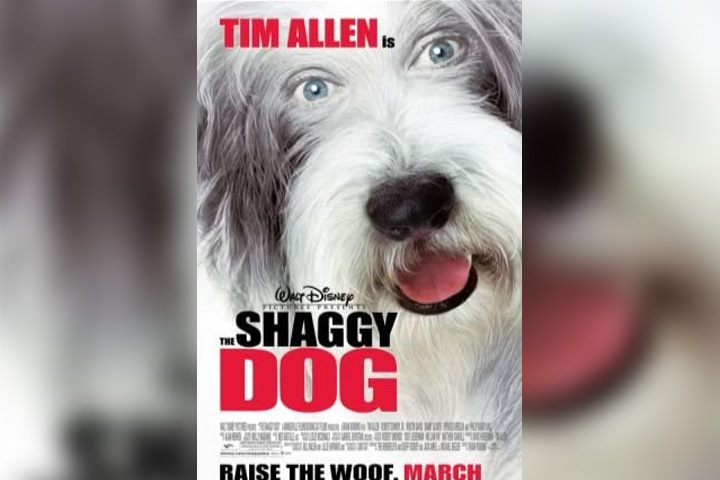 The shaggy dog, dog movie for kids