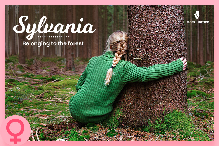 Sylvania，名字的意思是森林