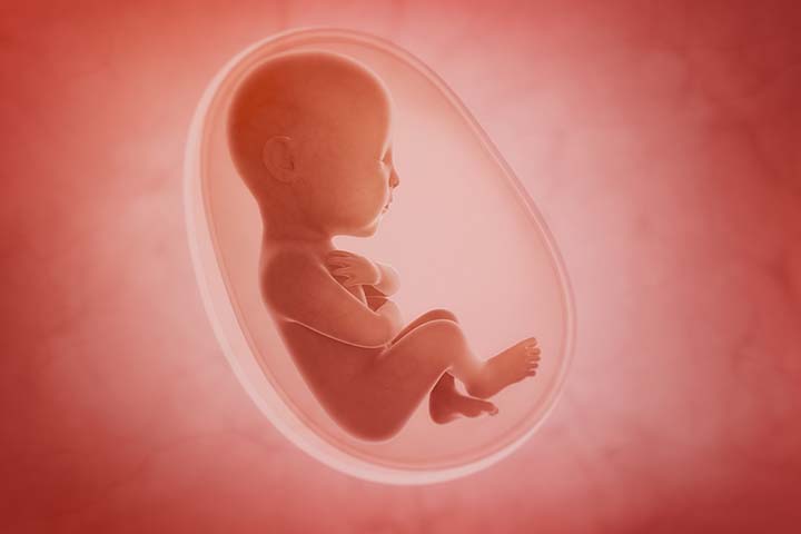 怀孕期间食用红薯有助于胎儿发育manbet安卓版