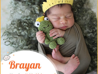 Brayan，意思是高贵的或高级的