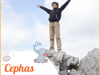 Cephas, an strong as a rock