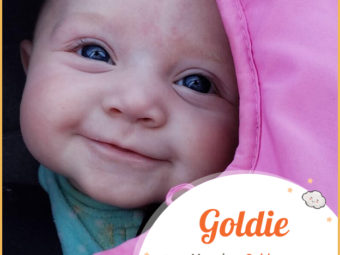 Goldie, a unique name that glitters with charm and radiates with joy.
