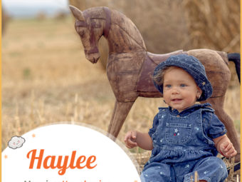 Haylee, hay clearing