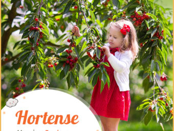 Hortense，一个法语名字，意思是花园