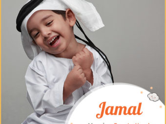 贾马尔，阿拉伯名字，意思是英俊