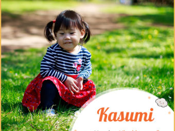 Kasumi，盛开的花朵