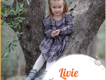 Livie meaning Olive tree,Peace