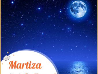 玛蒂莎，大海之星