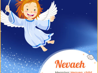 newah的意思是天堂，来自天堂的孩子