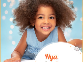 Nya的意思是新的、年轻的或有目的的