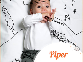 Piper，管乐器手的英文名