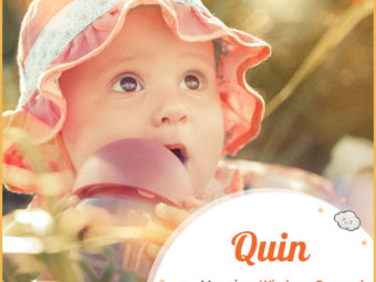 Quin, meaning wisdom