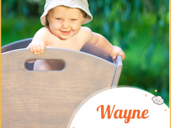 Wayne, a wagon driver
