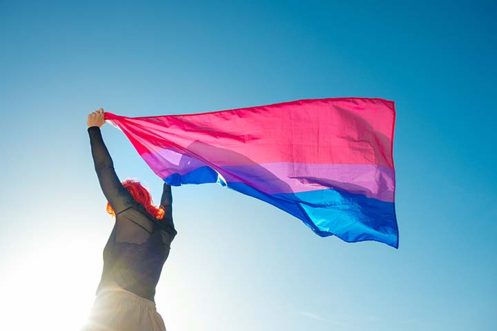 双性恋彩虹旗
