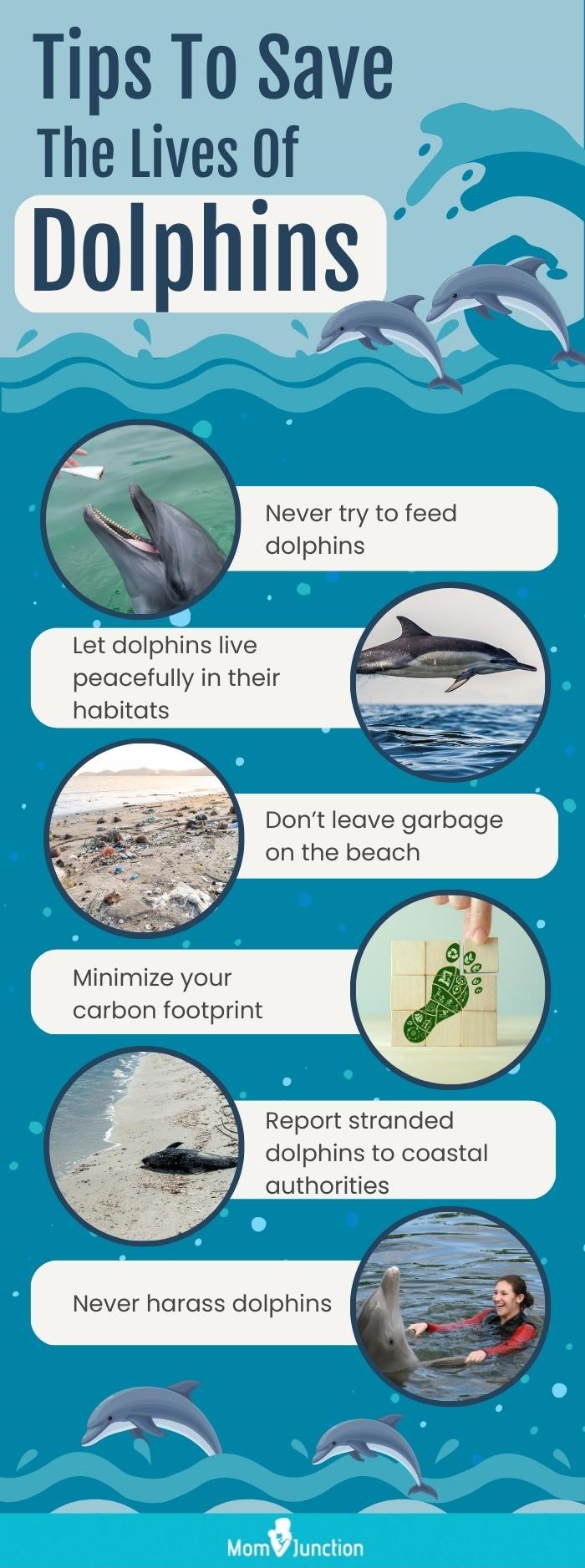 拯救海豚生命的贴士(资料图)