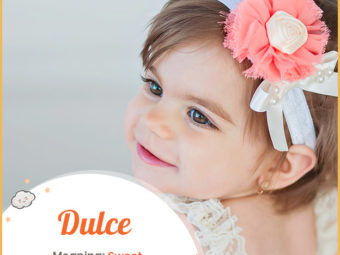 Dulce的意思是甜的