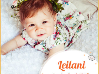 Leilani，一个带有花香的夏威夷名字。