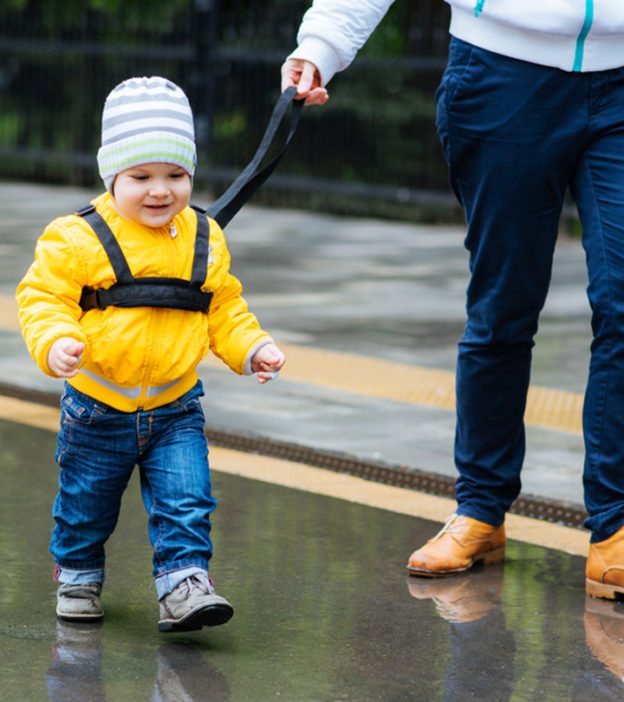 What Makes Child Leashes A Controversial Accessory?