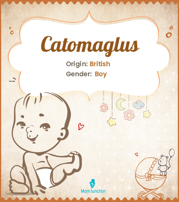 catomaglus