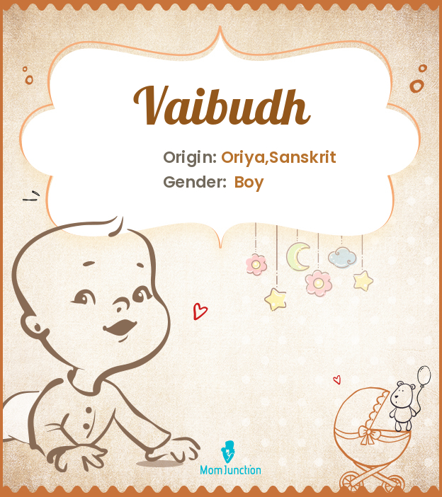 Vaibudh